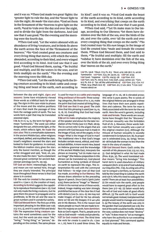 NKJV Comfort Print Study Bible, Hardback