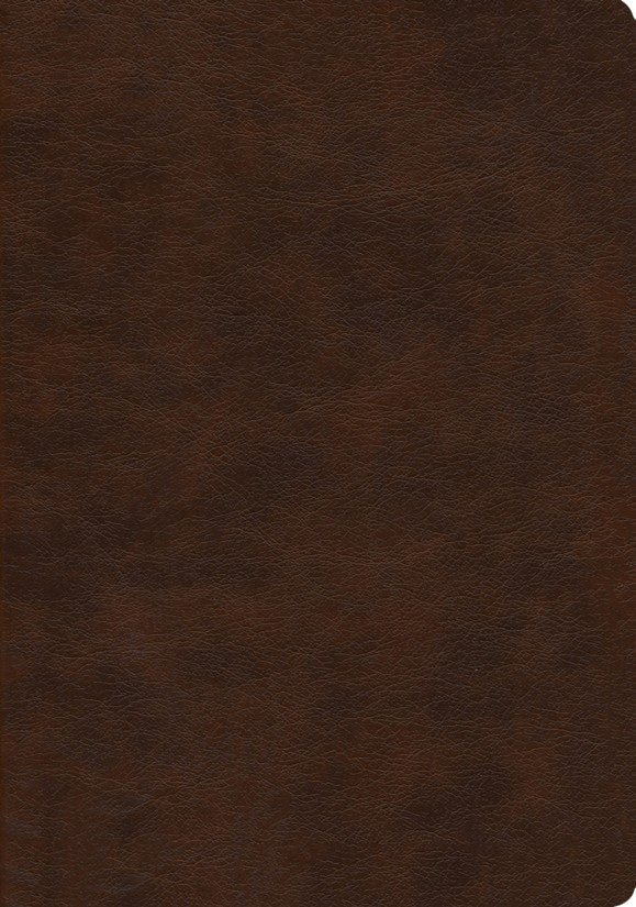 NASB 2020 Large Print Ultrathin Reference Bible Brown Leathertex