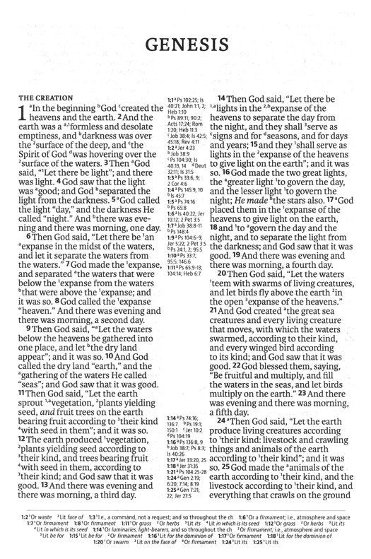 NASB 2020 Large Print Ultrathin Reference Bible Brown Leathertex