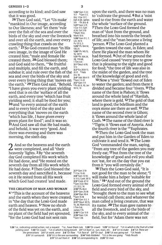 NASB 2020 Large Print Ultrathin Reference Bible Brown Leathertex