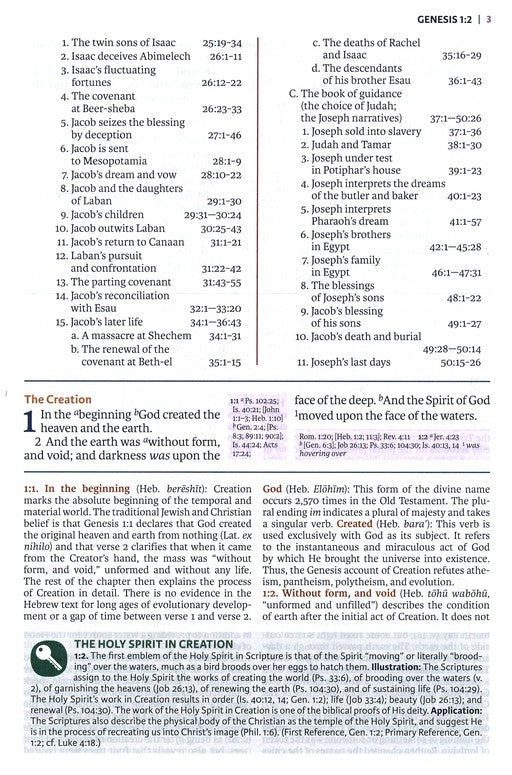 KJV Full-Color Study Bible Brown/Dk Brown Leathersoft Indexed