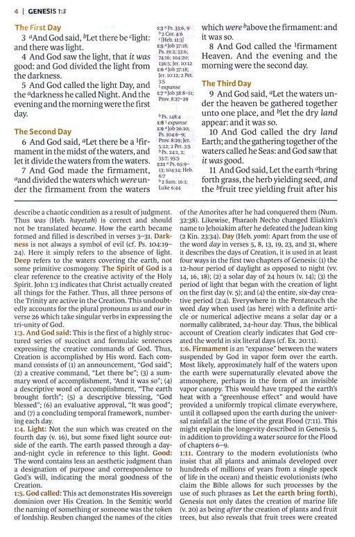 KJV Full-Color Study Bible Brown/Dk Brown Leathersoft