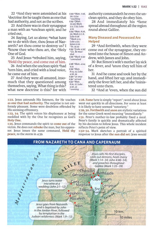 KJV Full-Color Study Bible Brown/Dk Brown Leathersoft