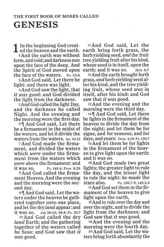 KJV Giant Print Reference Bible Black Genuine Leather Indexed