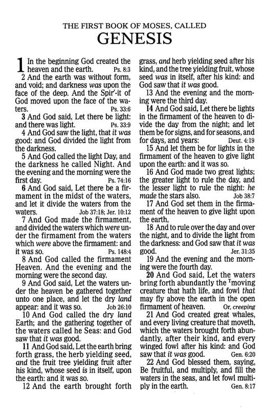 KJV Giant Print Reference Bible, Saddle Brown LeatherTouch, Indexed