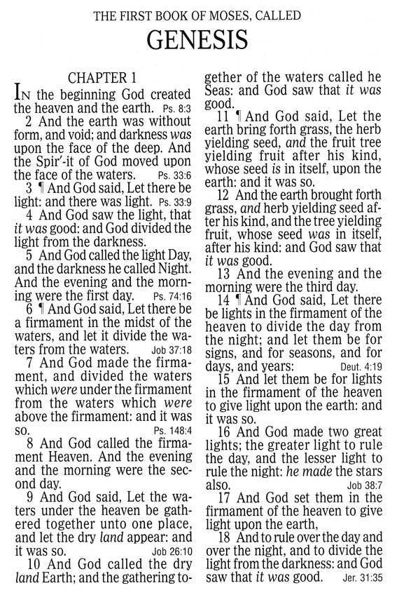 KJV Super Giant Print Reference Bible, Saddle Brown LeatherTouch