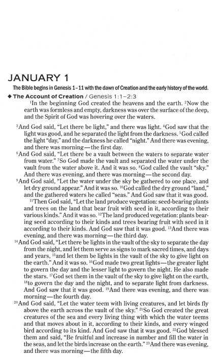 The One Year Chronological Bible - NIV