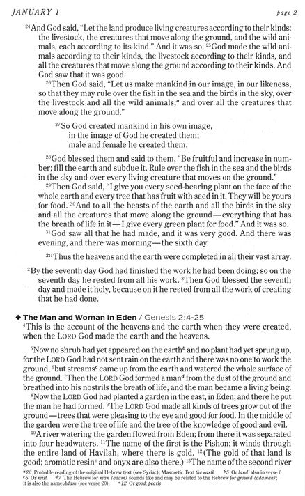 The One Year Chronological Bible - NIV