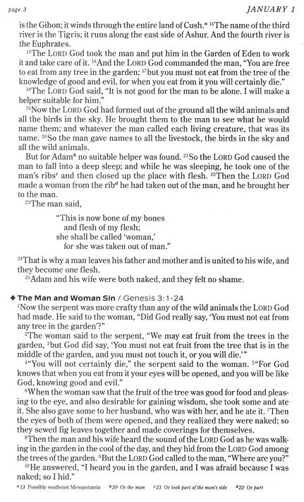 The One Year Chronological Bible - NIV