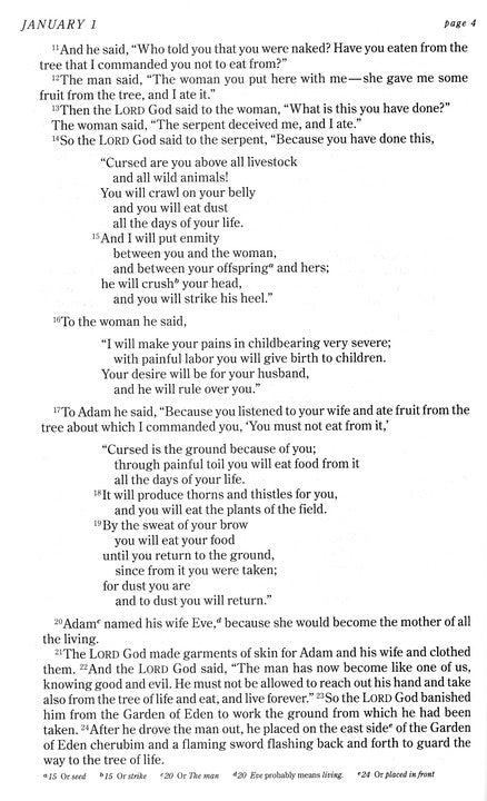 The One Year Chronological Bible - NIV