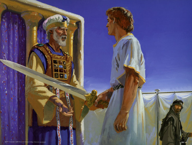 David in Hiding (David 2) - Abeka Flash-A-Card