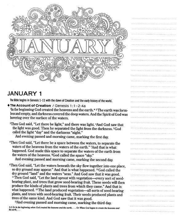 One Year Chronological Bible Creative Expressions - NLT - Paperback