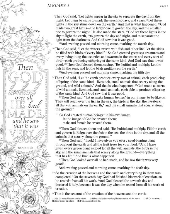 One Year Chronological Bible Creative Expressions - NLT - Paperback