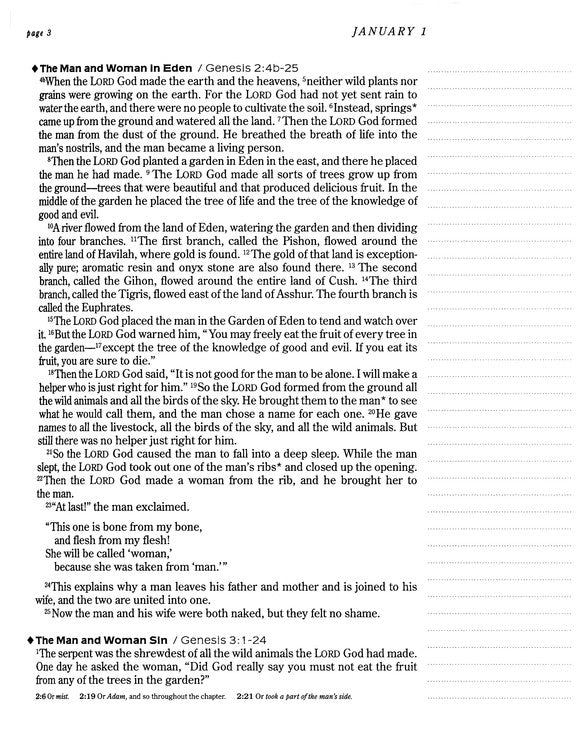 One Year Chronological Bible Creative Expressions - NLT - Paperback