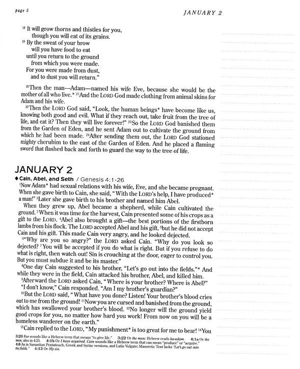 One Year Chronological Bible Creative Expressions - NLT - Paperback