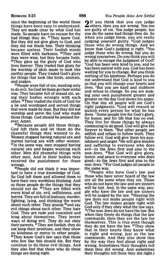 ICB International Children's Camo Bible *