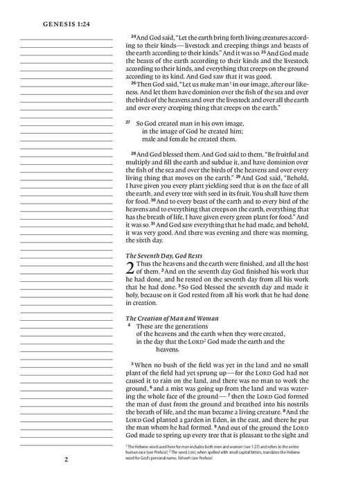 ESV Large Print Single Column Journaling Bible Hardback, Summer Garden