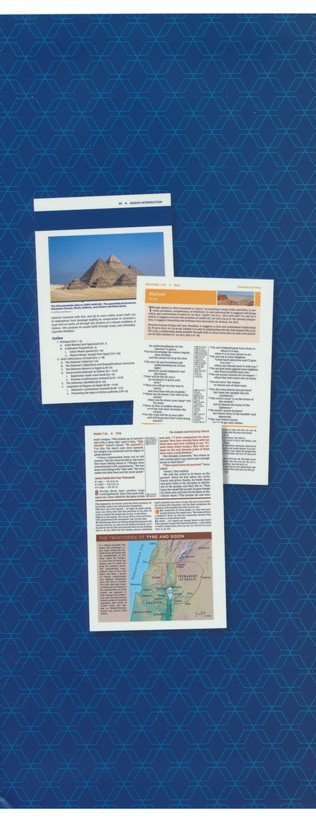 NIV Study Bible - Hardback