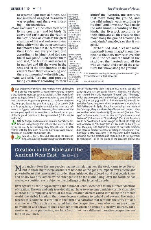 NIV Study Bible - Hardback