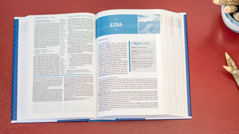 NIV Study Bible - Hardback