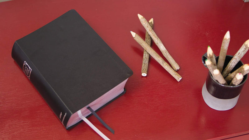 NIV Study Bible - Large Print - Black Bonded Leather, Indexed