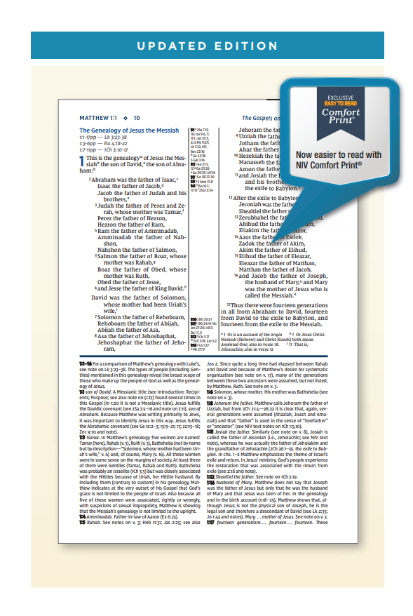 NIV Study Bible Large Print - Black Bonded Leather