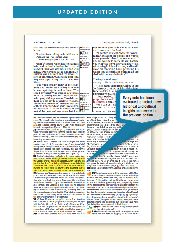 NIV Study Bible - Large Print - Black Bonded Leather, Indexed