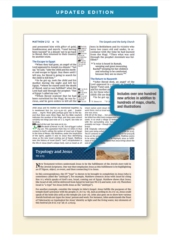 NIV Study Bible Large Print - Black Bonded Leather