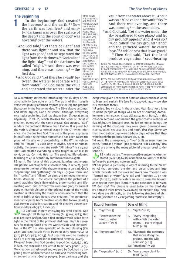 NIV Study Bible Large Print - Brown Leathersoft