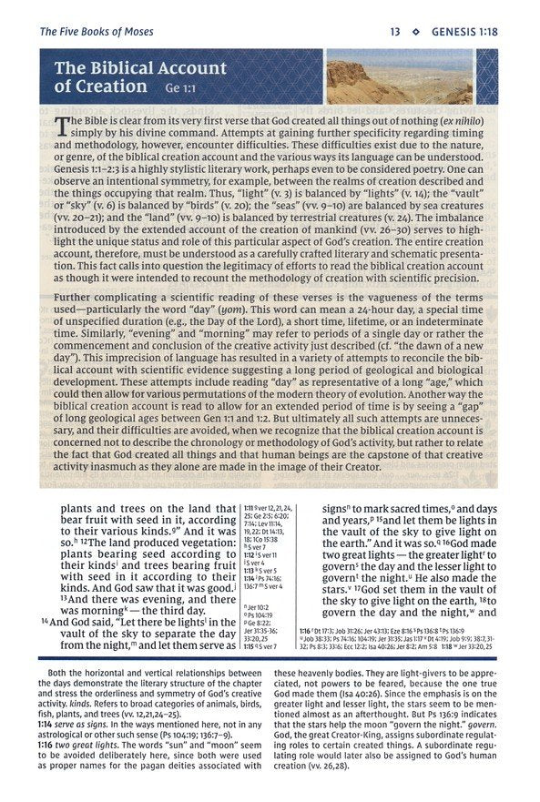 NIV Study Bible Large Print - Brown Leathersoft