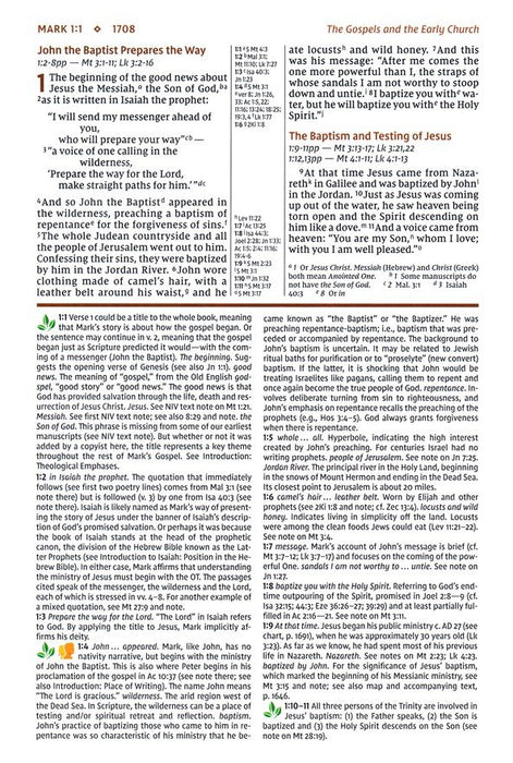 NIV Study Bible - Large Print - Brown Leathersoft