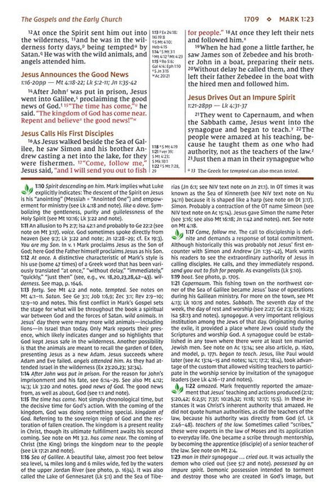 NIV Study Bible - Large Print - Brown Leathersoft