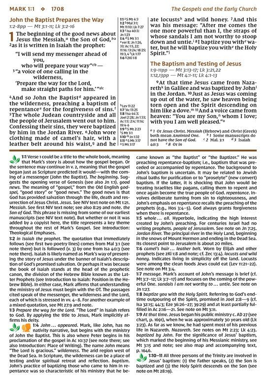 NIV Study Bible - Personal Size - Brown/Blue DuoTone