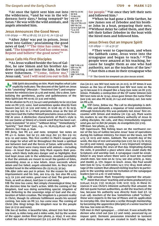 NIV Study Bible - Personal Size - Brown/Blue DuoTone