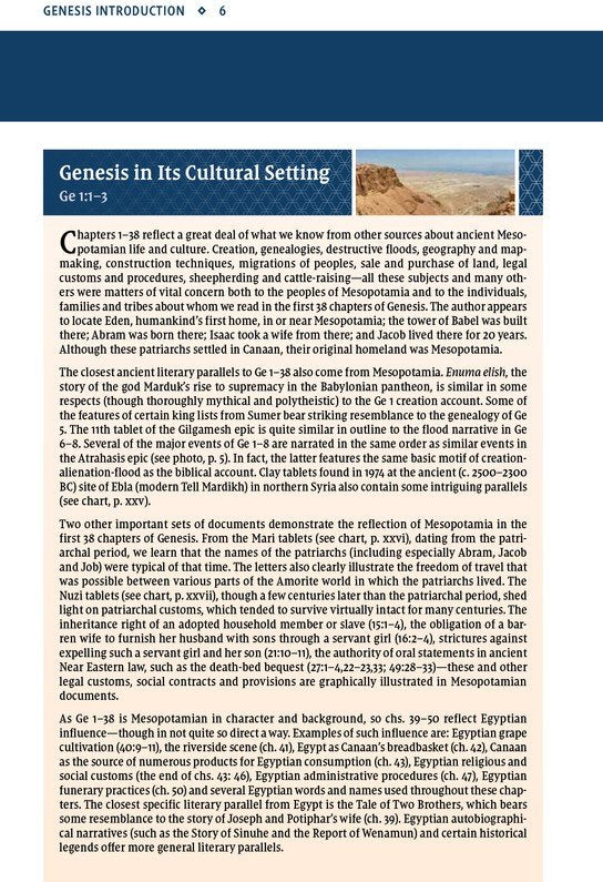 NIV Study Bible - Personal Size - Brown/Blue DuoTone, Indexed