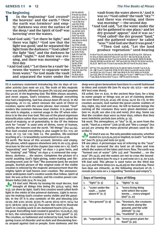 NIV Study Bible - Personal Size - Brown/Blue DuoTone