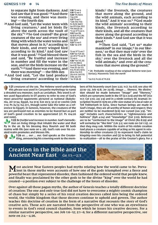 NIV Study Bible - Personal Size - Brown/Blue DuoTone