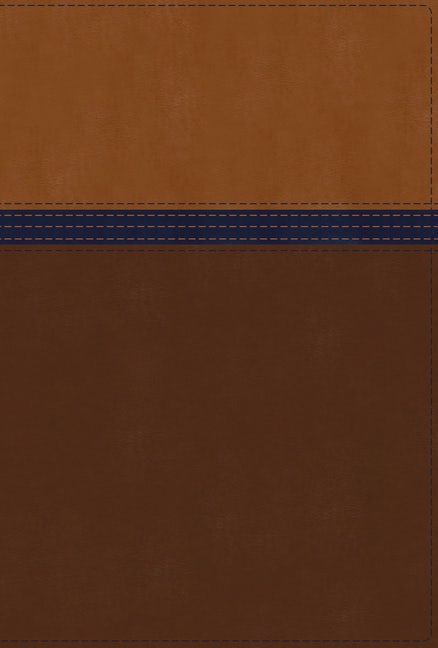NIV Study Bible - Personal Size - Brown/Blue DuoTone, Indexed