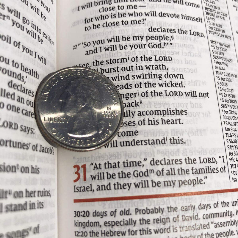 NIV Study Bible - Personal Size - Brown/Blue DuoTone
