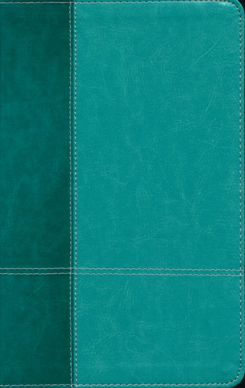 NIV Personal Size Large Print Reference Bible Leathersoft, Turquoise Indexed