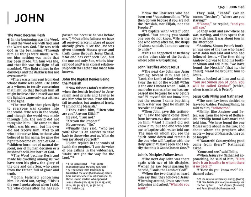 NIV Personal Size Large Print Bible Leathersoft Brown, Indexed