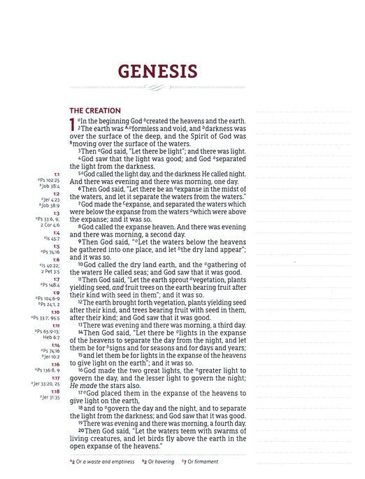 NASB Journal the Word Reference Bible Brown Leathersoft over board