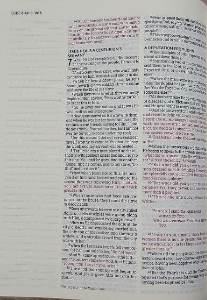 NASB Artisan Journaling Bible Sage Floral *