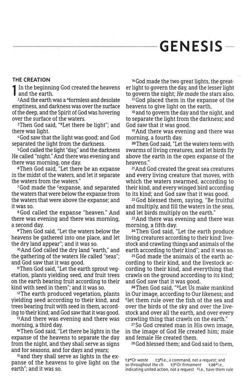 NASB 2020 Text Thinline Large Print Bible - Black Leathersoft