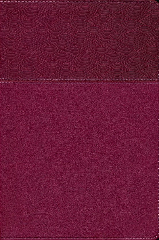 NASB 2020 Text Thinline Large Print Bible - Burgundy Leathersoft