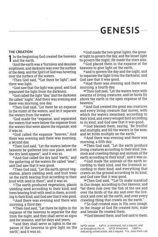 NASB 2020 Text Thinline Large Print Bible - Burgundy Leathersoft