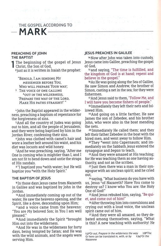 NASB 2020 Text Thinline Large Print Bible - Burgundy Leathersoft