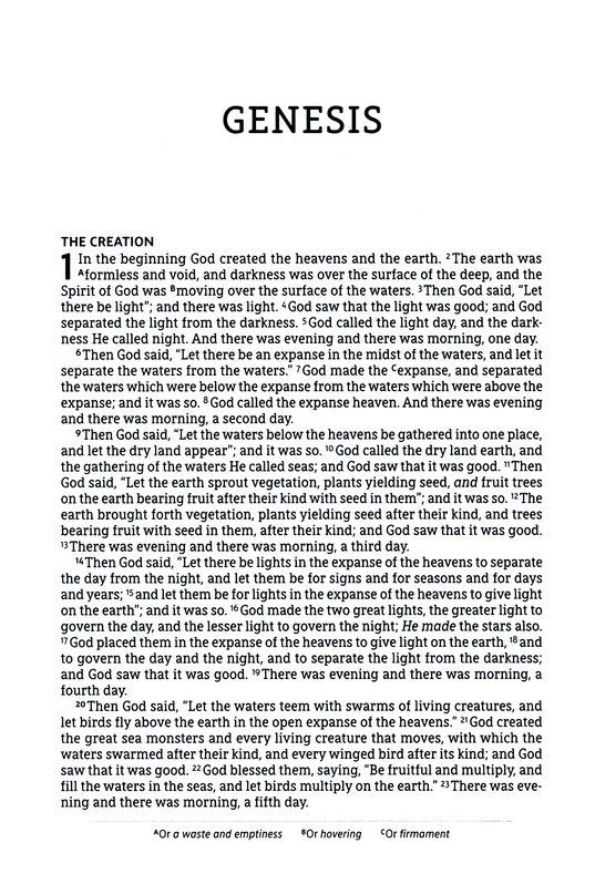 NASB Large Print Thinline Bible Passaggio Setting Brown Leathersoft