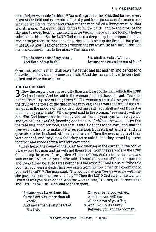 NASB Large Print Thinline Bible Passaggio Setting Brown Leathersoft