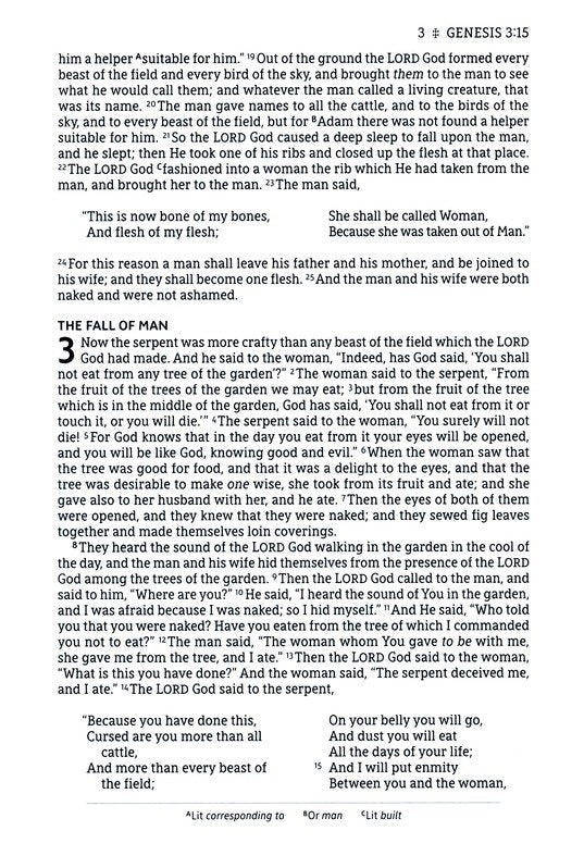 NASB Large Print Thinline Bible Passaggio Setting Black Leathersoft *